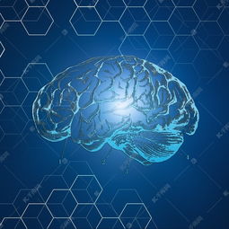 生物基因科技未來技術(shù)抽象幾何空間線條腦科素材圖片免費(fèi)下載 千庫網(wǎng)