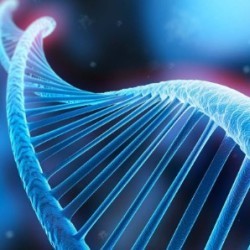 生物科技、細(xì)胞領(lǐng)域新業(yè)態(tài)講座