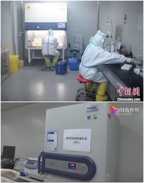 科技抗疫,海爾生物醫(yī)療用物聯(lián)網(wǎng)創(chuàng)新筑國(guó)家生物安全防線