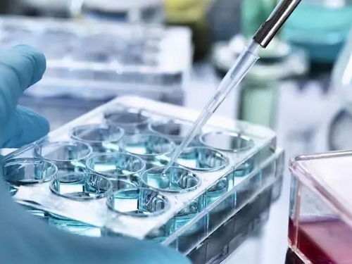 一篇文章告訴你 干細胞儲存的意義