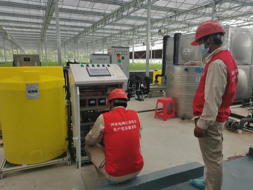 不曬太陽不著土,一年能收14茬 南通市首個全電智慧植物工廠滿滿科技范兒