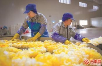 處理銀耳產(chǎn)品